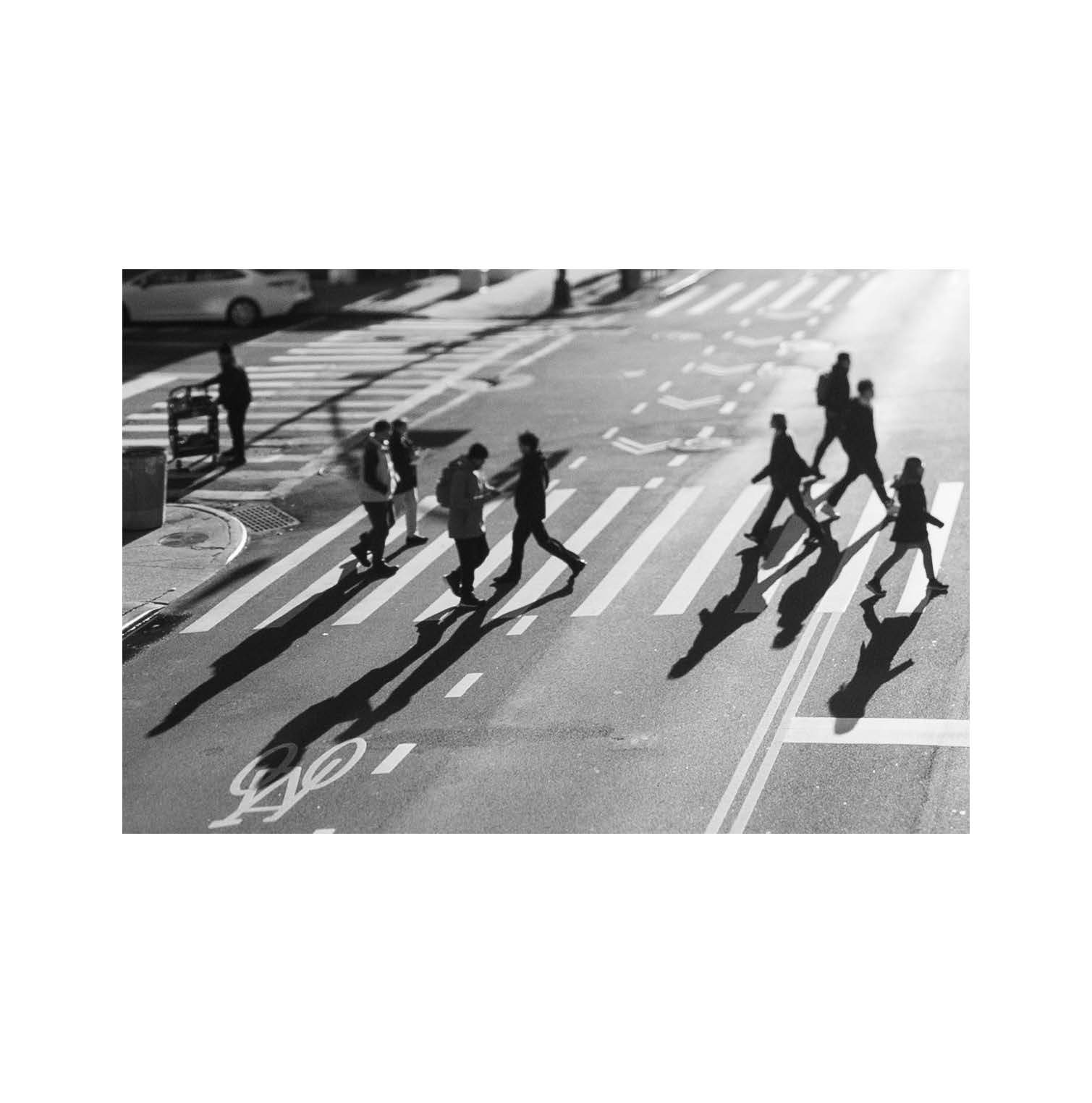 Black-and-white street photograph of pedestrians and long shadows on a crosswalk