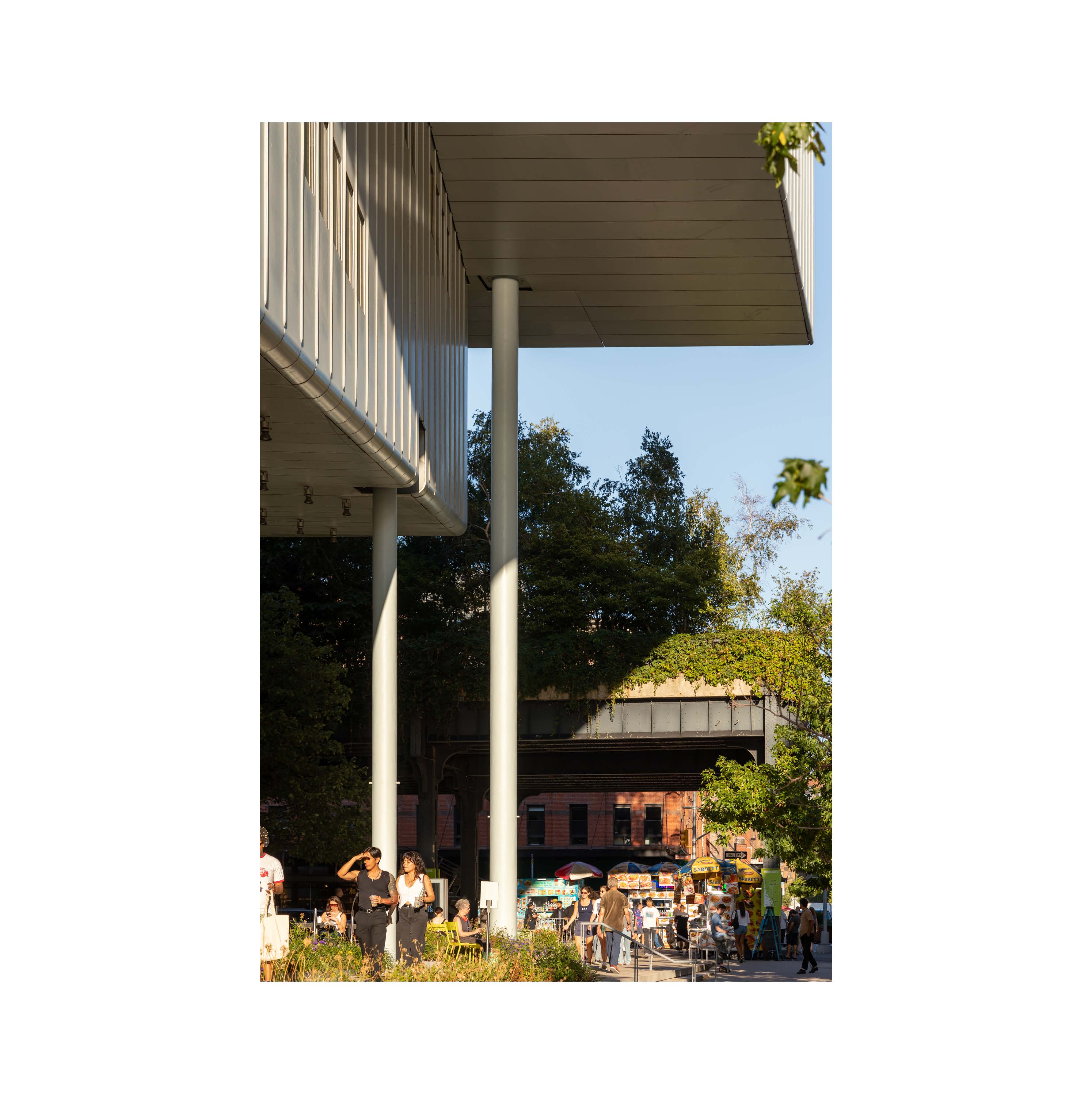 Columns and canopy above a public space
