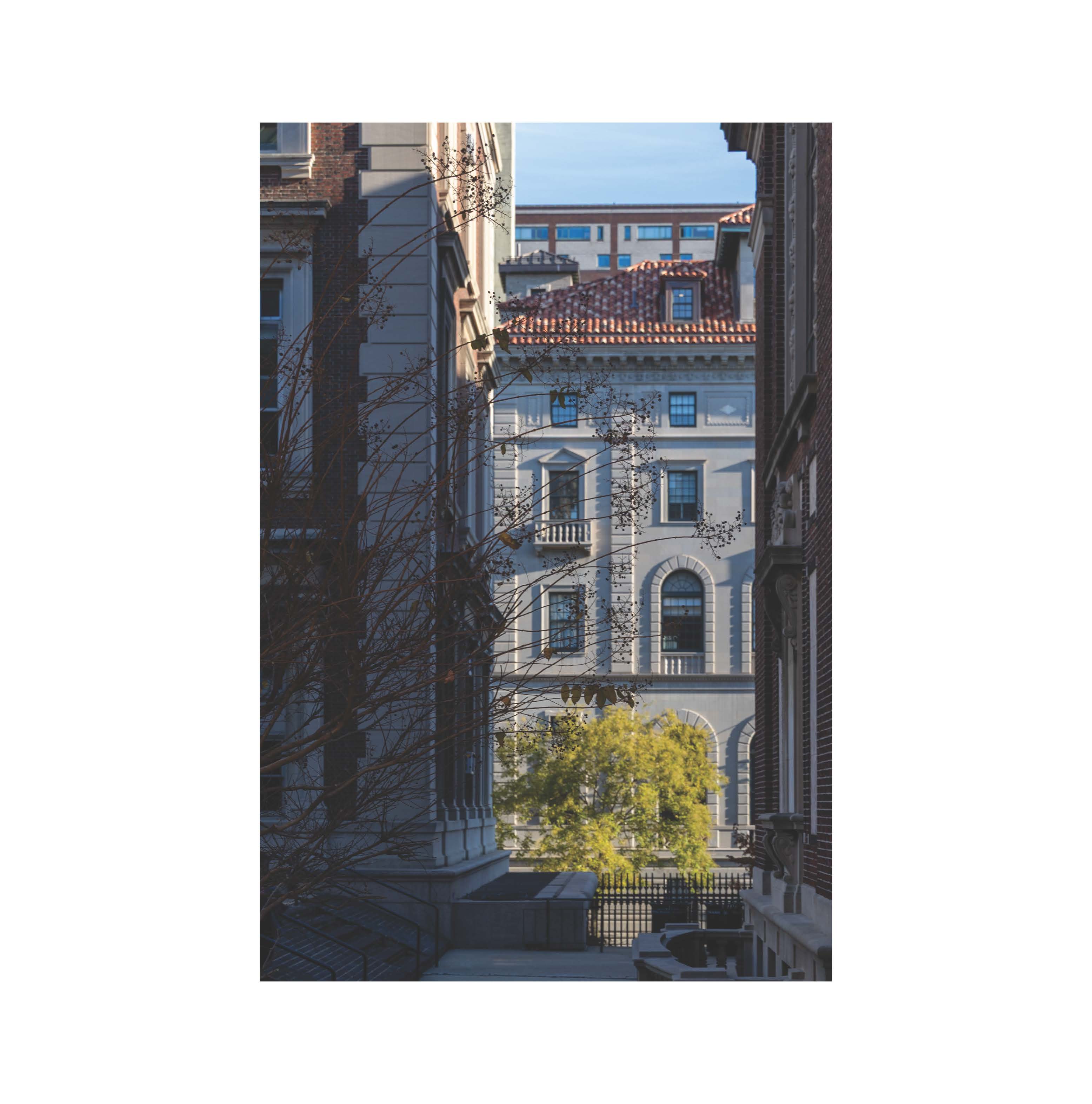 Facade and trees framed by buildings